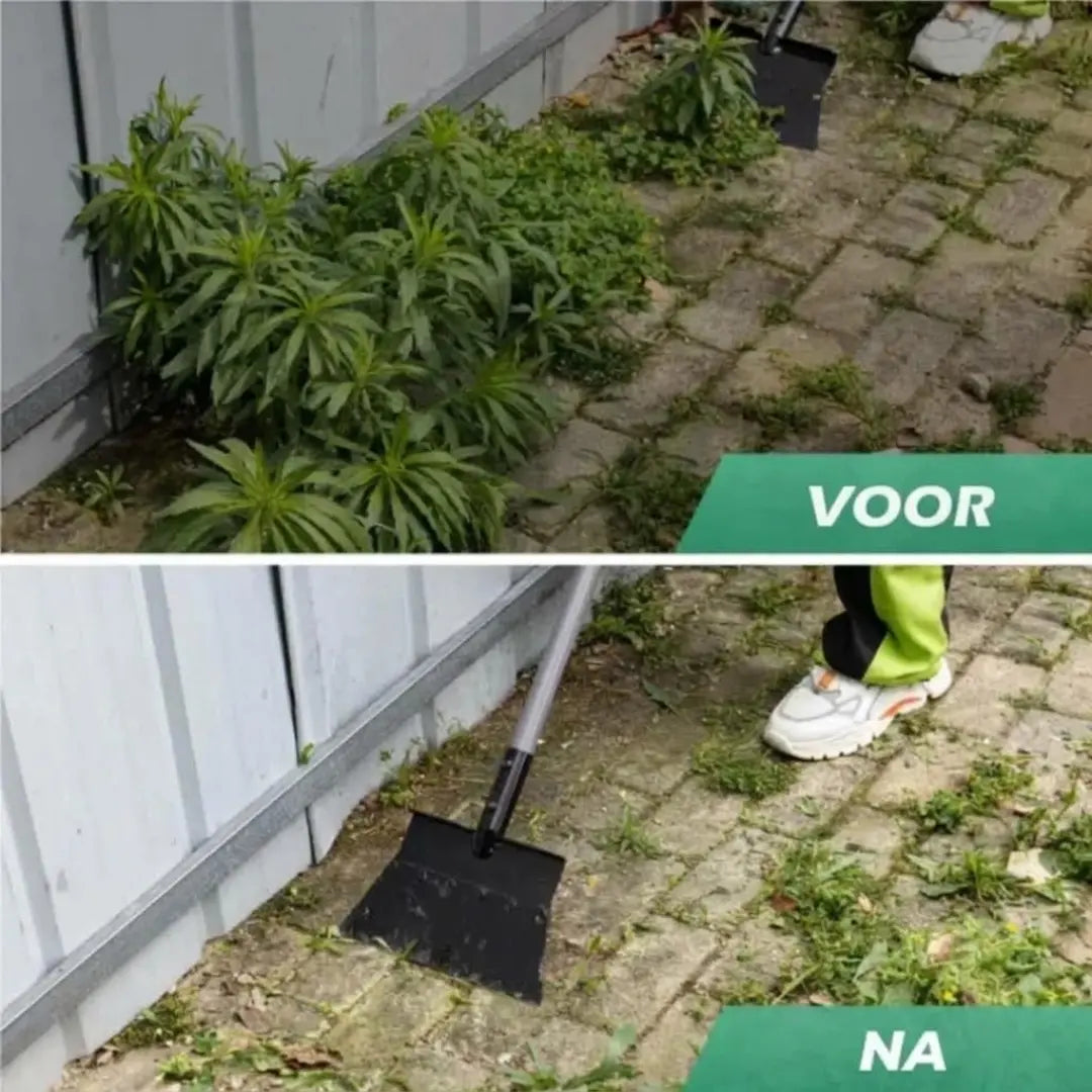 Steadrex Multifunctionele Tuinschop met Steel 200 cm, Tuinreinigingsschop 32 cm, Tuinschop voor Onkruid Wieden, Platte Stalen Schop voor Mos, Sneeuwruimen, Reinigen van Boerderijen